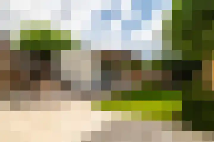 Heilaardreef 5 Breda thumbnail 43
