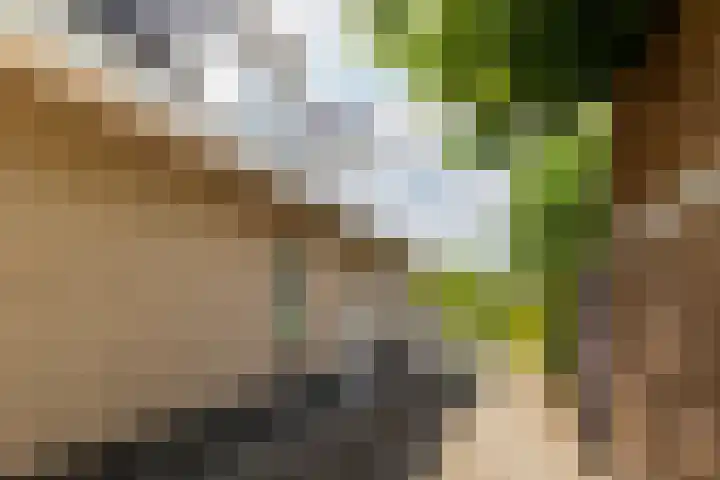 Heilaardreef 5 Breda thumbnail 47