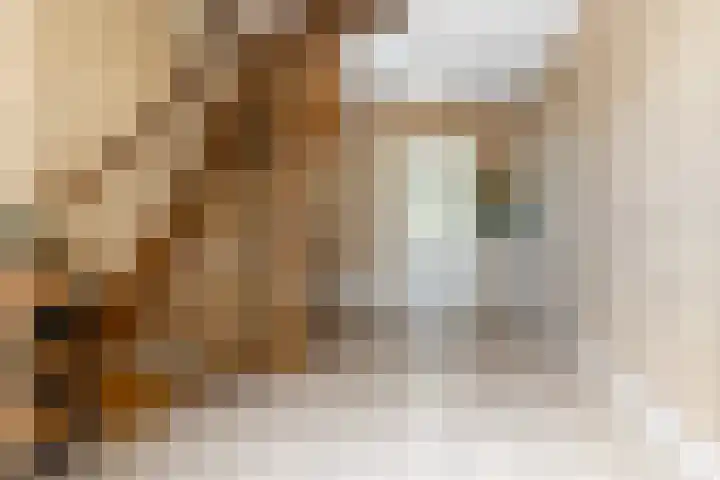 Heilaardreef 5 Breda thumbnail 7