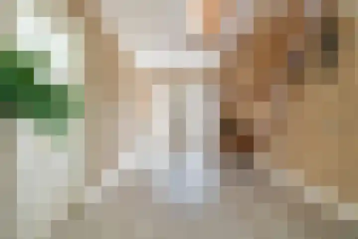 Heilaardreef 5 Breda thumbnail 8