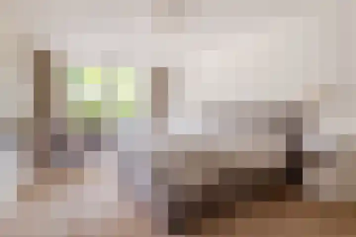 Heilaarstraat 215 Breda thumbnail 25