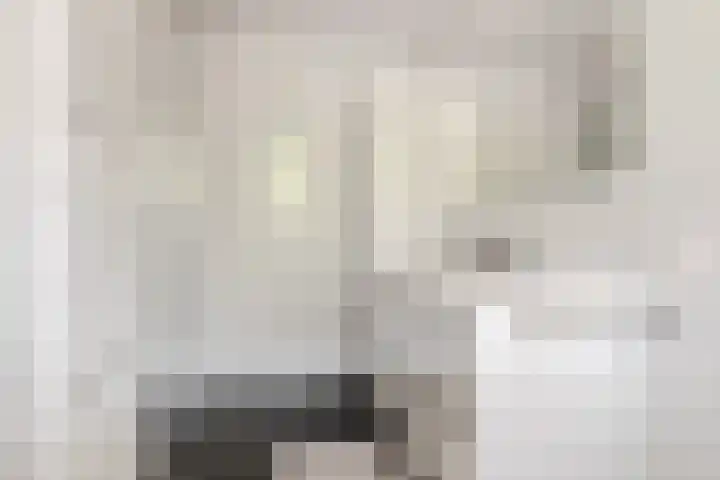 Heilaarstraat 215 Breda thumbnail 36