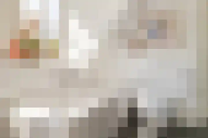 Heilaarstraat 215 Breda thumbnail 38