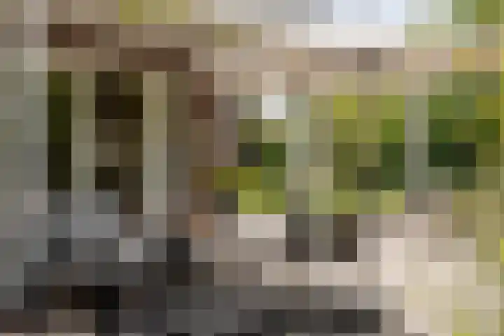 Heilaarstraat 215 Breda thumbnail 55