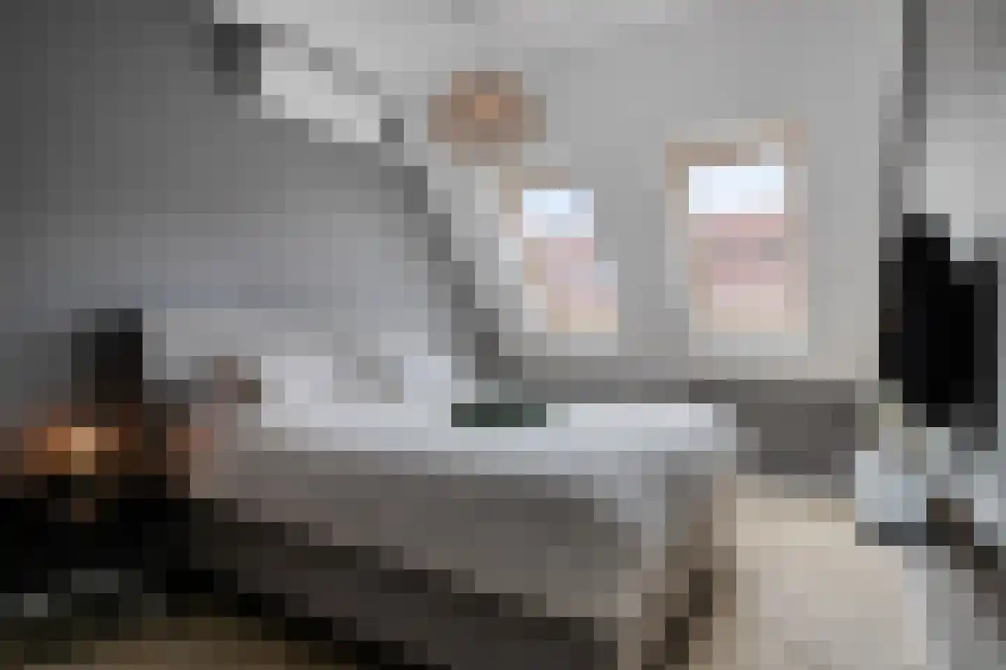 Heilbeemden 10 Helmond thumbnail 23