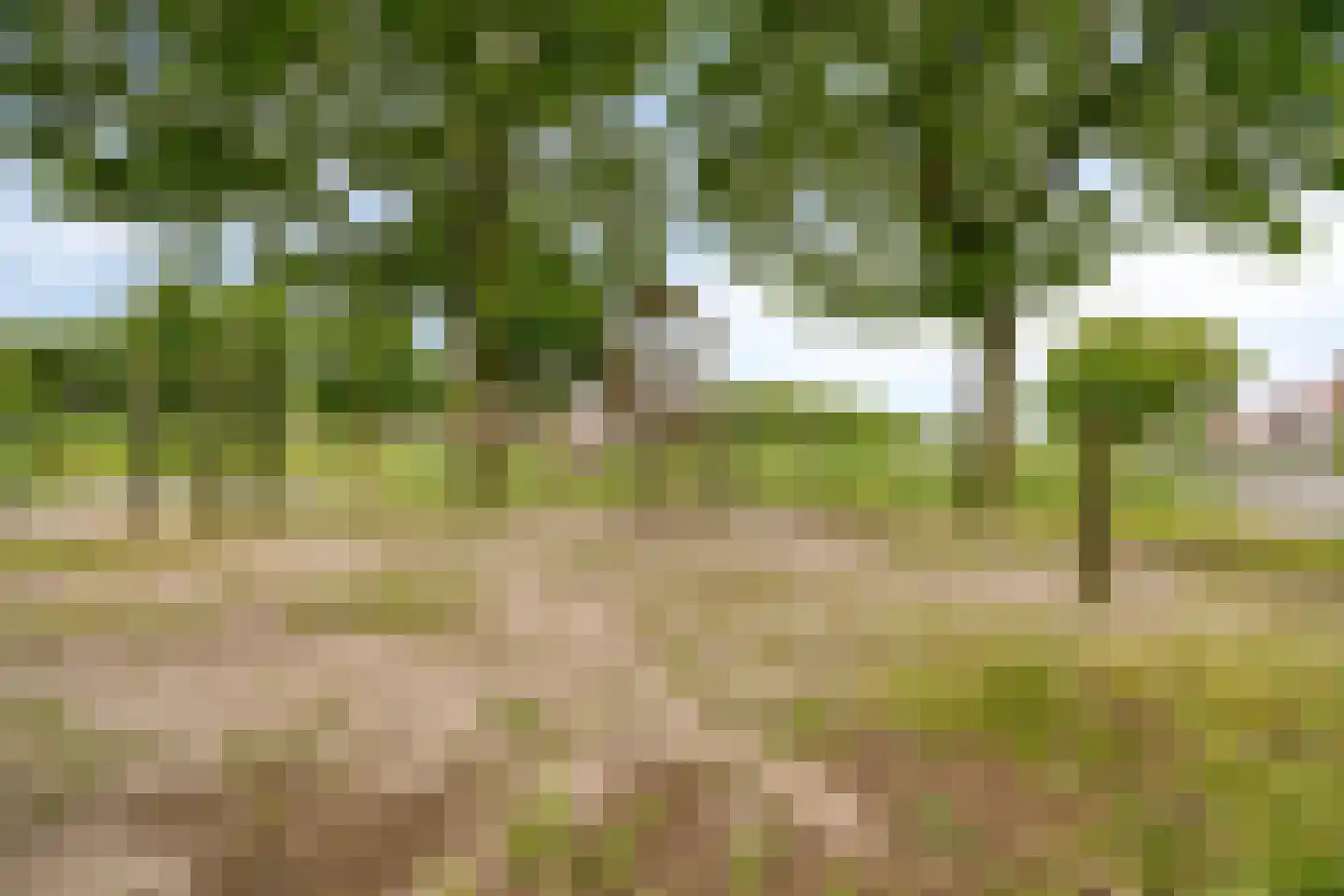 Heilbeemden 12 Helmond thumbnail 32
