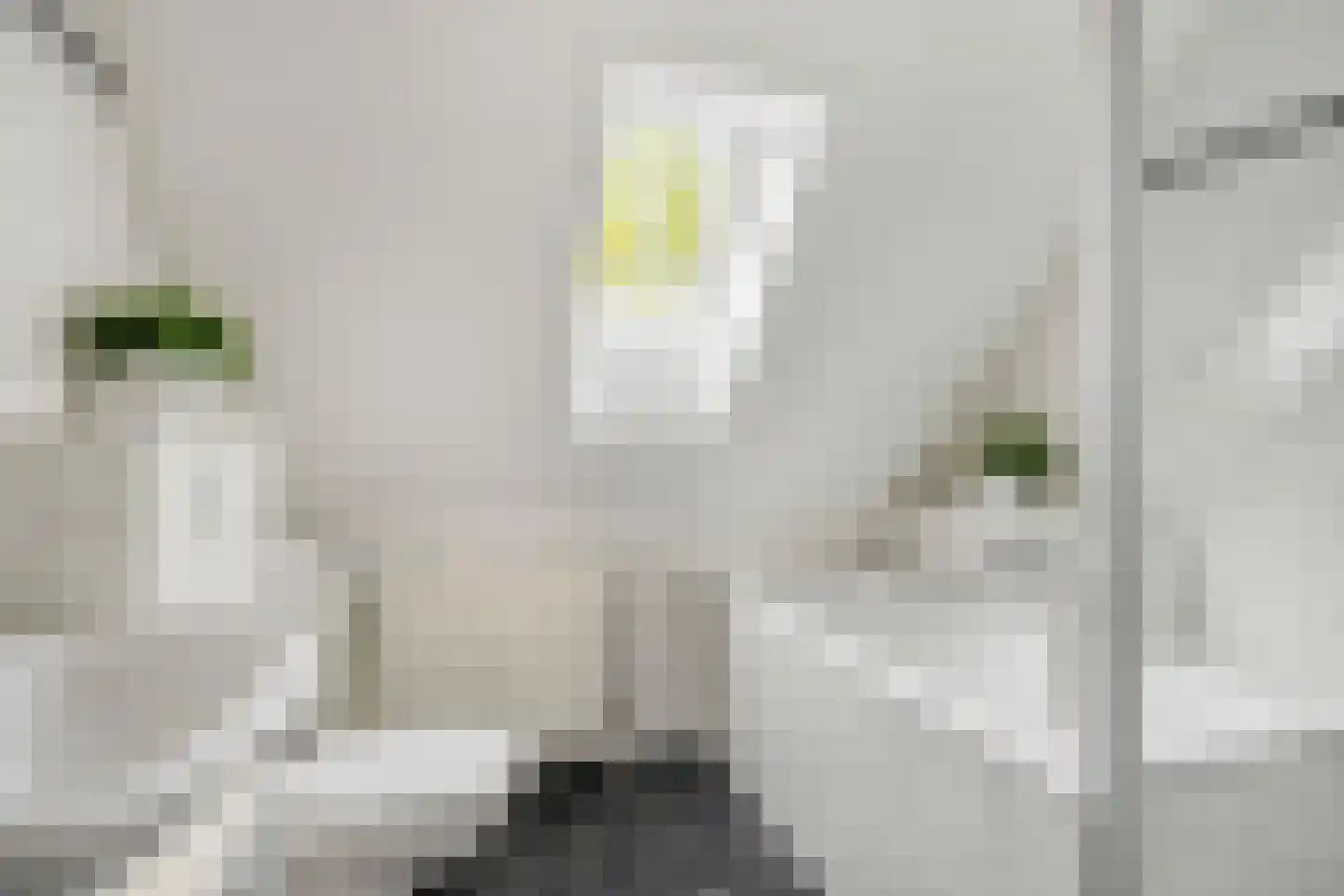 Heilbeemden 12 Helmond thumbnail 6