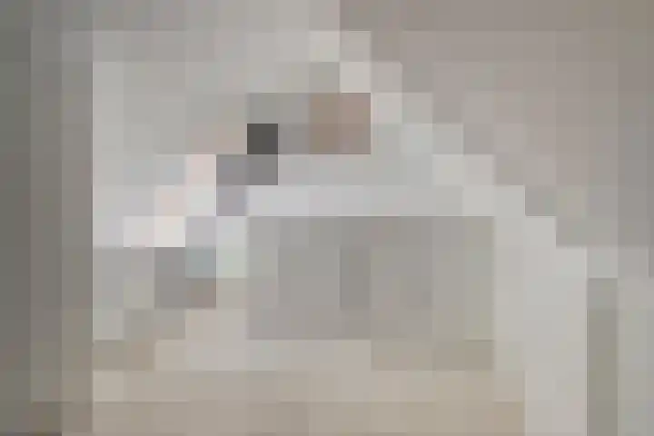 Heilbeemden 8 Helmond thumbnail 21