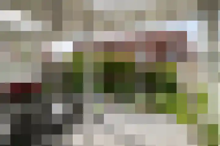 Heilbeemden 8 Helmond thumbnail 26