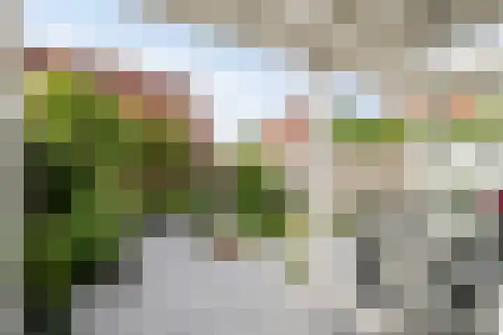 Heilbeemden 8 Helmond thumbnail 28
