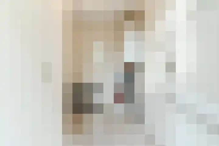 Heile Schoorstraat 25 Tilburg thumbnail 12
