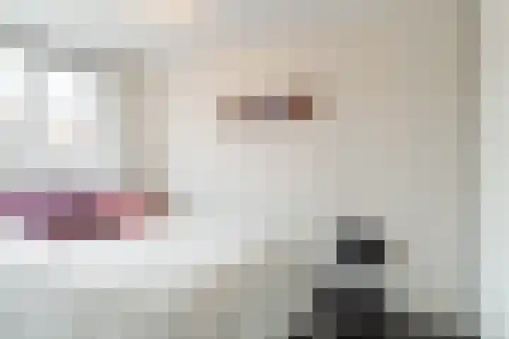 Heile Schoorstraat 25 Tilburg thumbnail 18