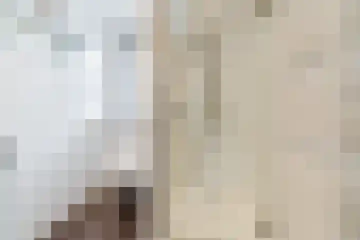 Heile Schoorstraat 25 Tilburg thumbnail 21