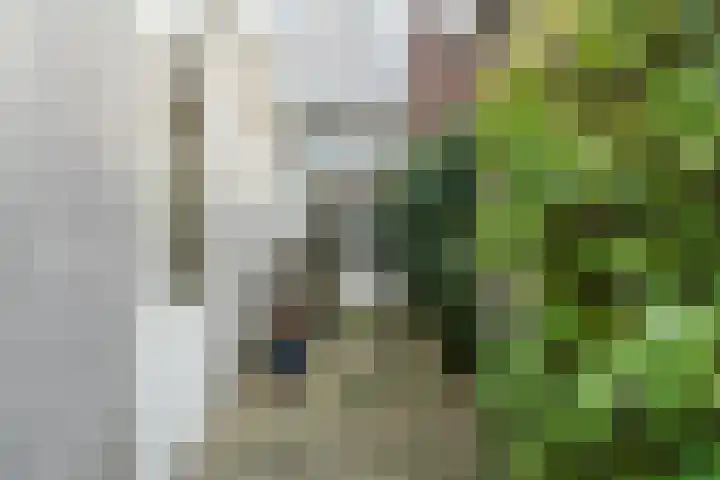 Heile Schoorstraat 25 Tilburg thumbnail 33