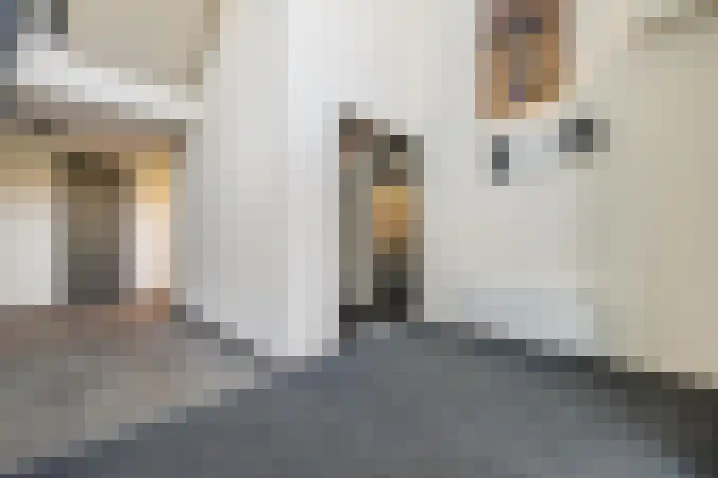 Heilig Harthof 17 Breda thumbnail 14