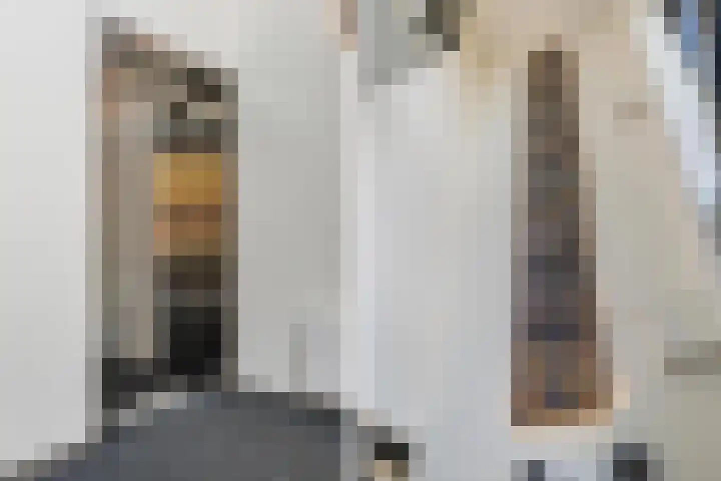 Heilig Harthof 17 Breda thumbnail 15