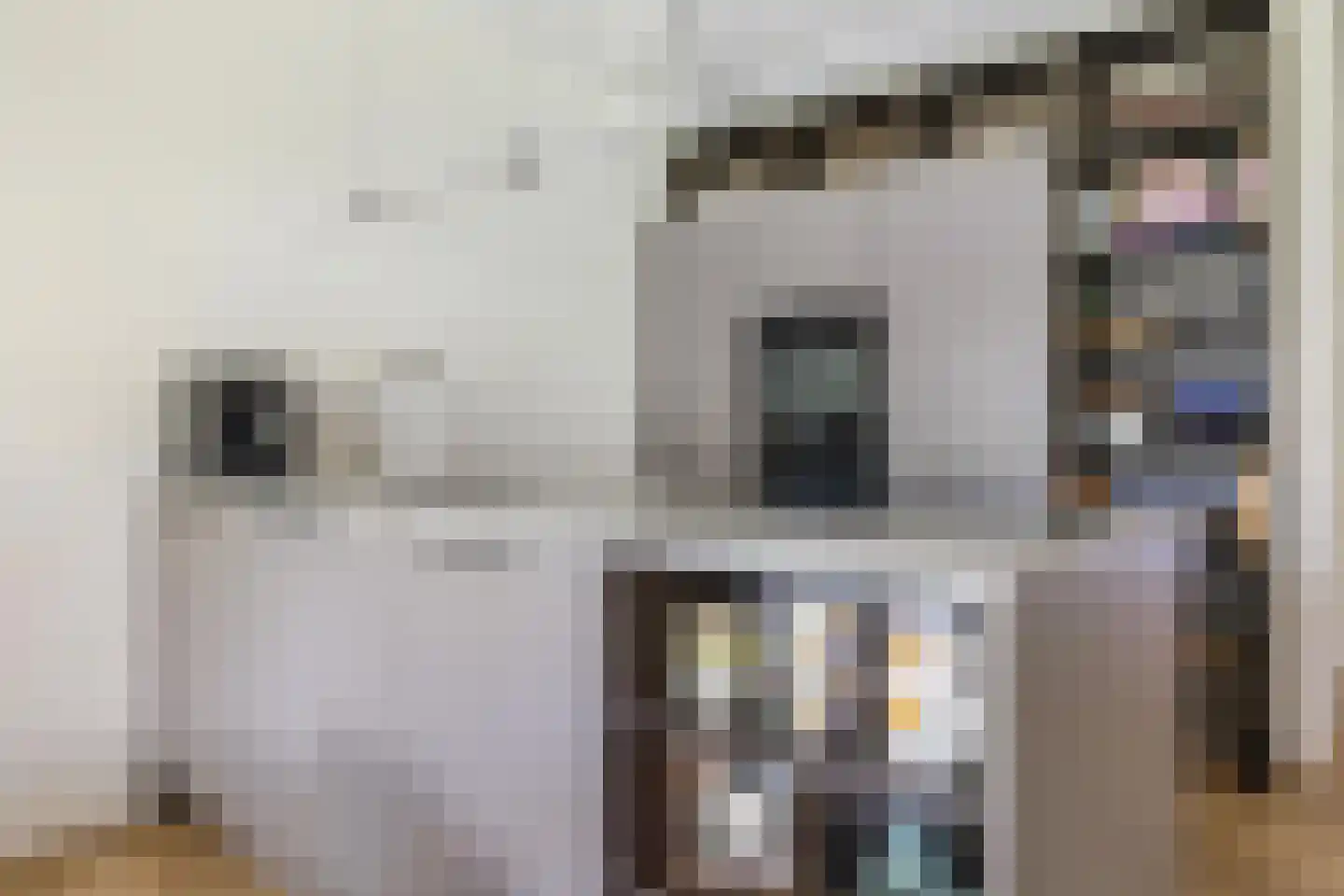 Heilig Harthof 17 Breda thumbnail 37