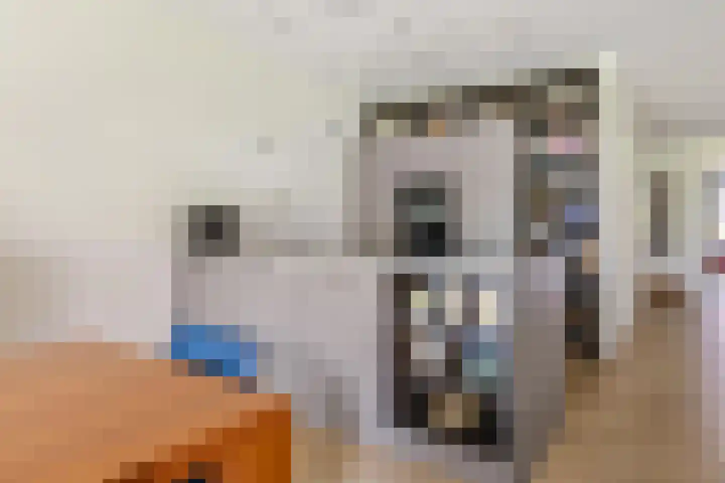 Heilig Harthof 17 Breda thumbnail 4