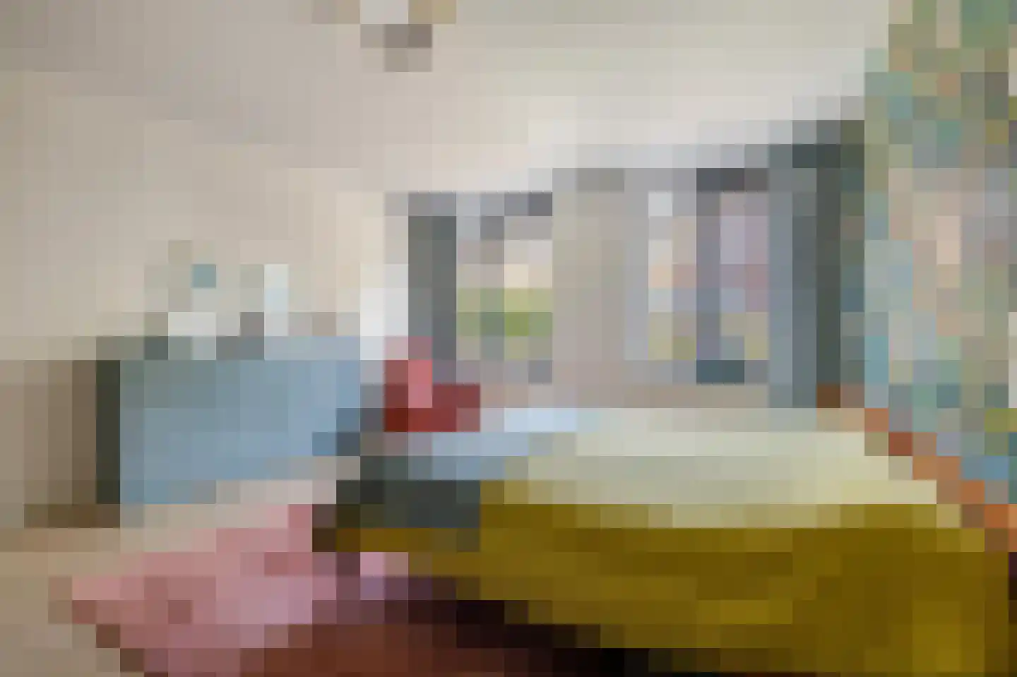Heilig Harthof 17 Breda thumbnail 41