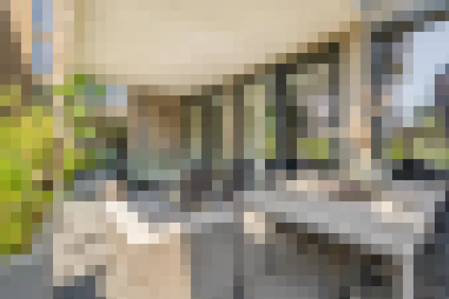 Heilig Harthof 17 Breda thumbnail 54