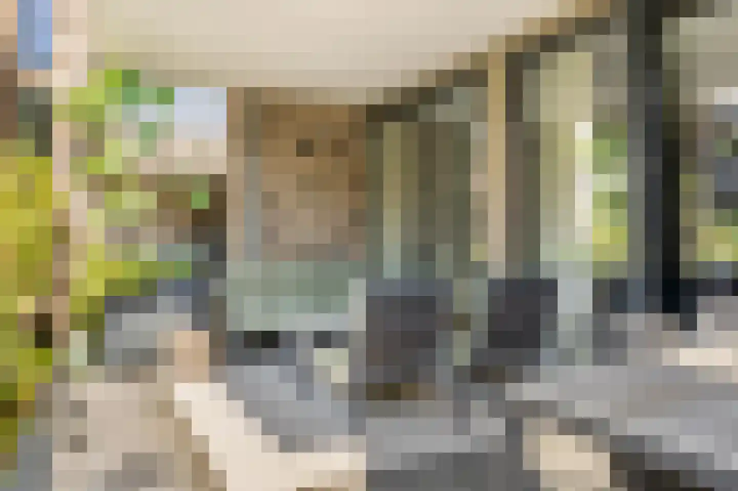 Heilig Harthof 17 Breda thumbnail 55