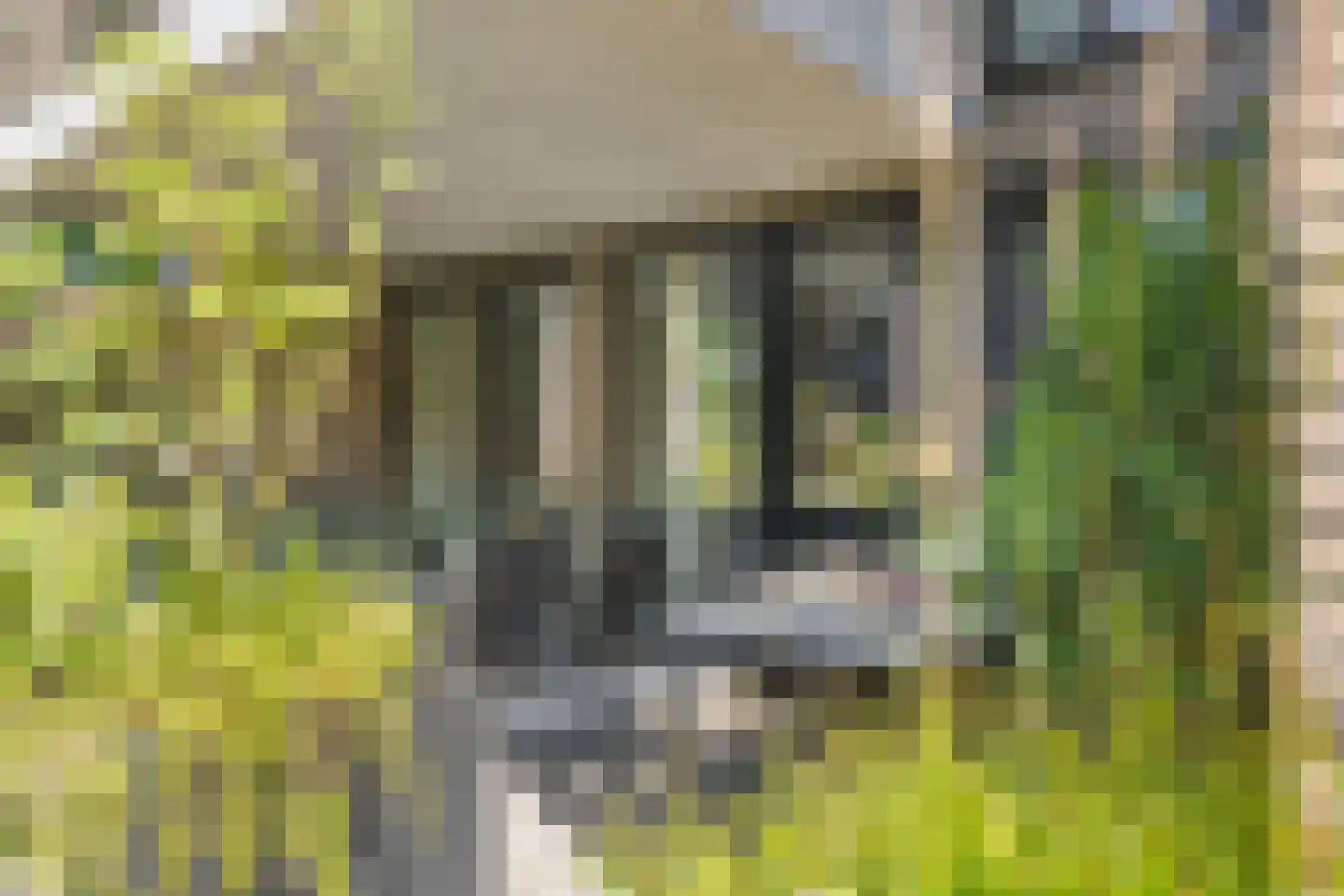 Heilig Harthof 17 Breda thumbnail 56