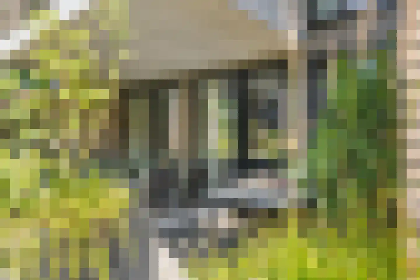 Heilig Harthof 17 Breda thumbnail 56