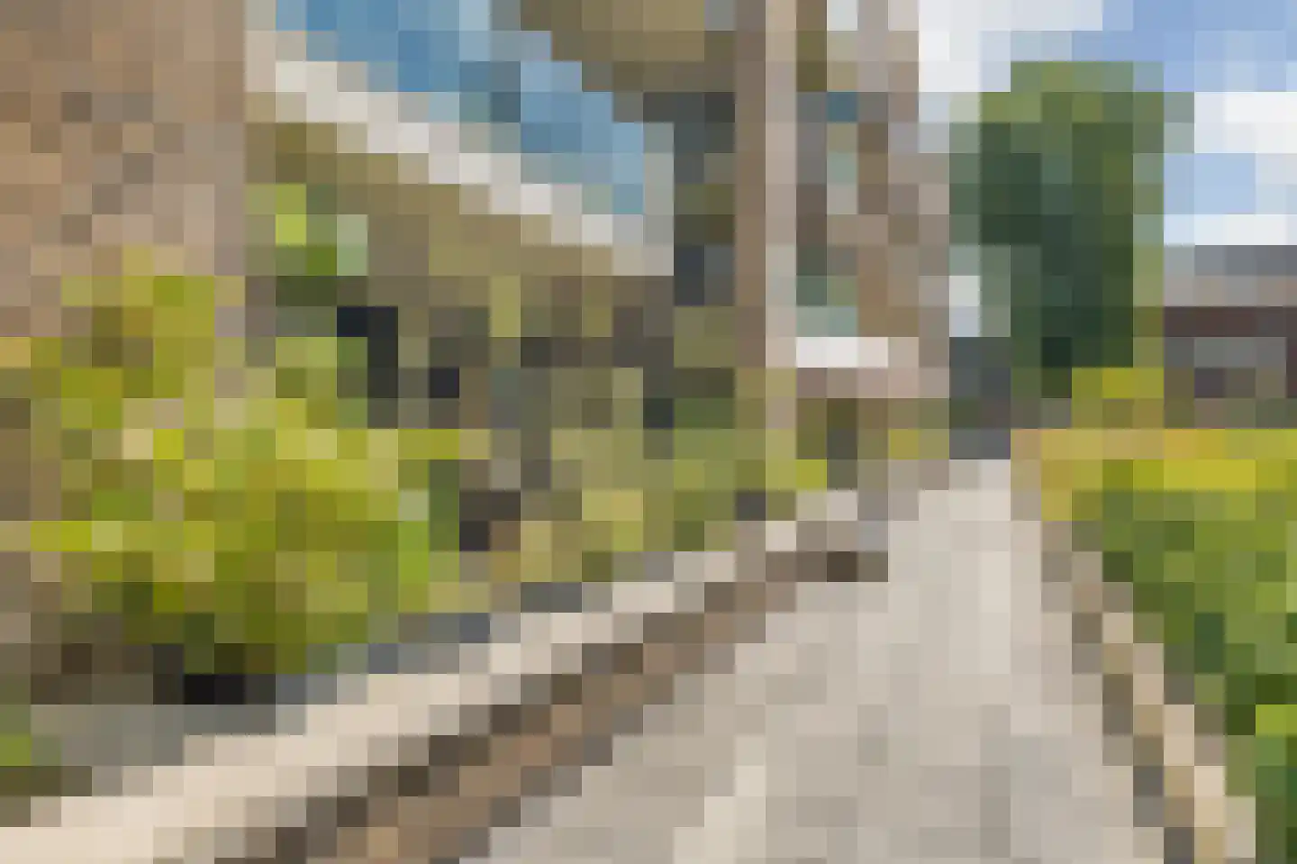 Heilig Harthof 17 Breda thumbnail 57