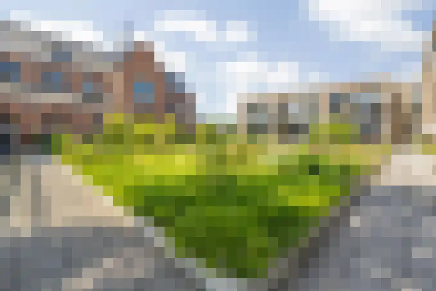 Heilig Harthof 17 Breda thumbnail 59