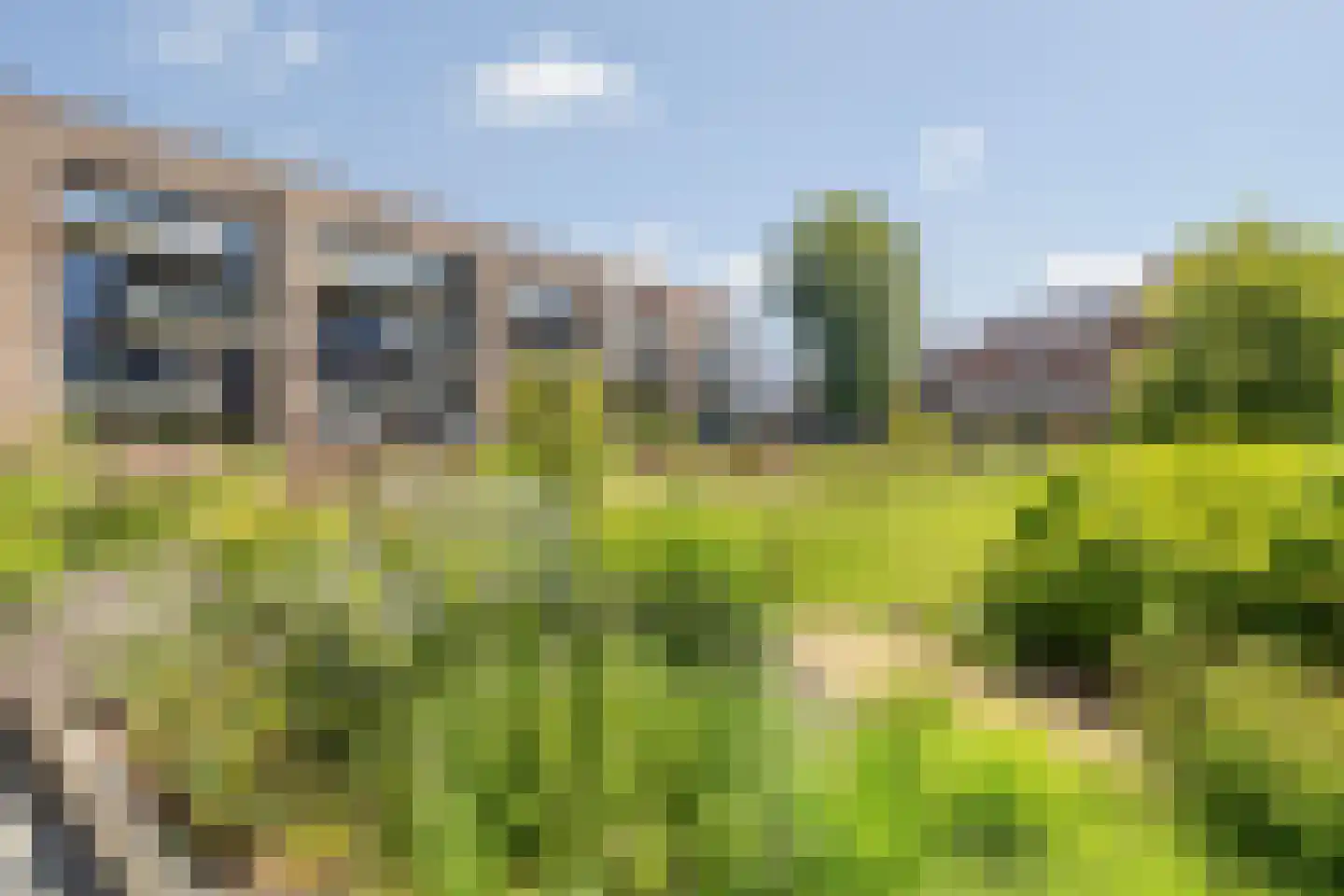 Heilig Harthof 17 Breda thumbnail 65