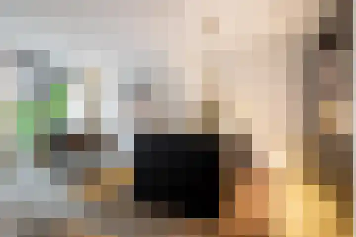 Heilig Harthof 19 Breda thumbnail 10