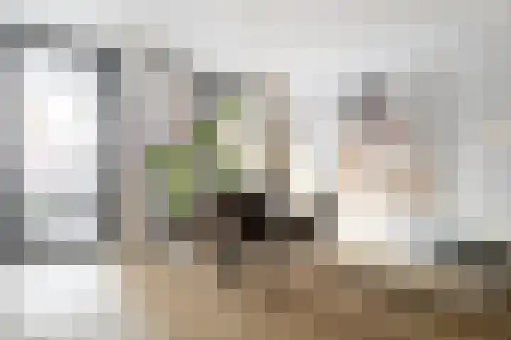 Heilig Harthof 19 Breda thumbnail 11
