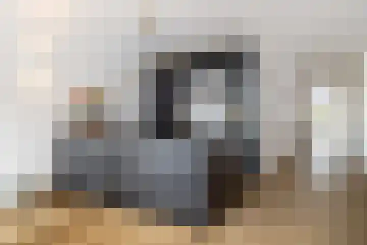 Heilig Harthof 19 Breda thumbnail 13