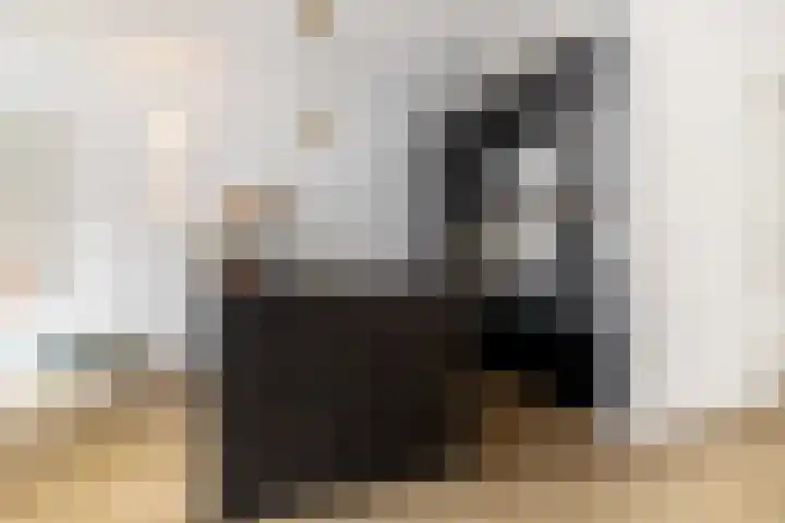 Heilig Harthof 19 Breda thumbnail 14