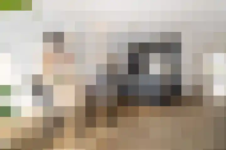 Heilig Harthof 19 Breda thumbnail 15