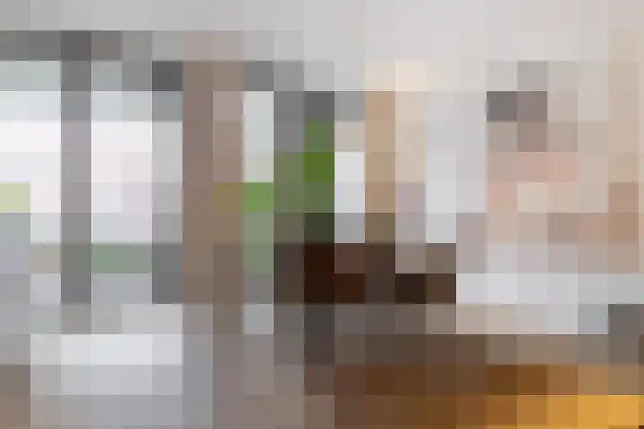 Heilig Harthof 19 Breda thumbnail 16