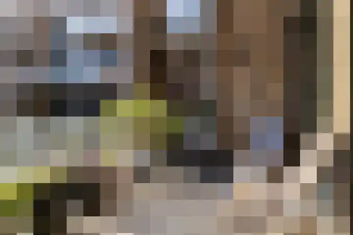 Heilig Harthof 19 Breda thumbnail 17