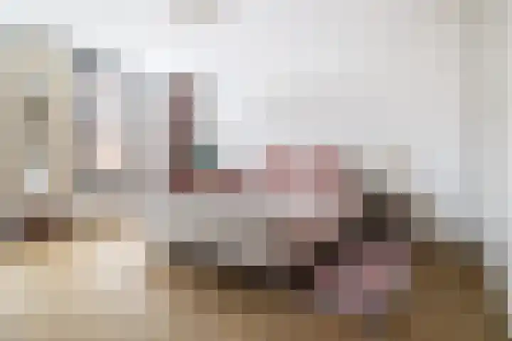 Heilig Harthof 19 Breda thumbnail 22