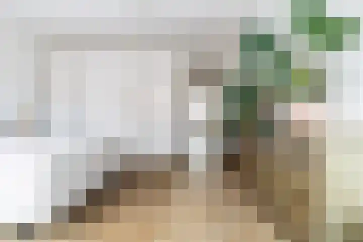 Heilig Harthof 19 Breda thumbnail 25