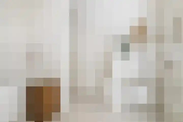 Heilig Harthof 19 Breda thumbnail 30