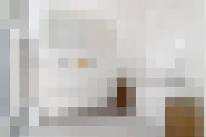 Heilig Harthof 19 Breda thumbnail 31
