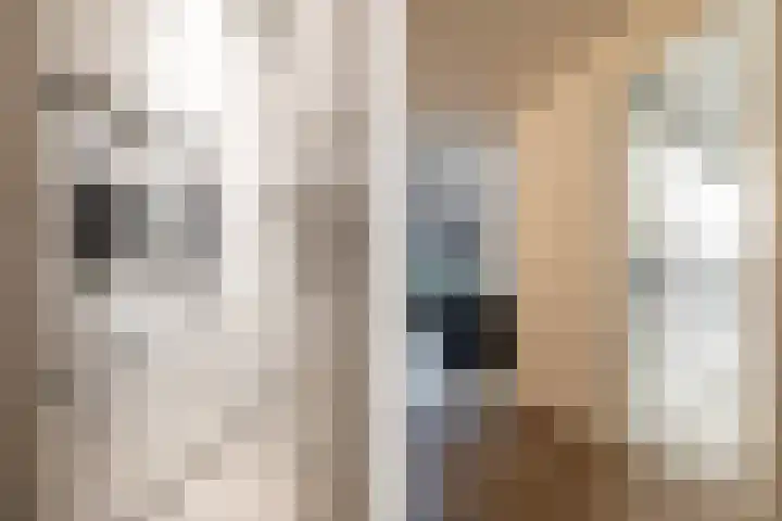 Heilig Harthof 19 Breda thumbnail 33