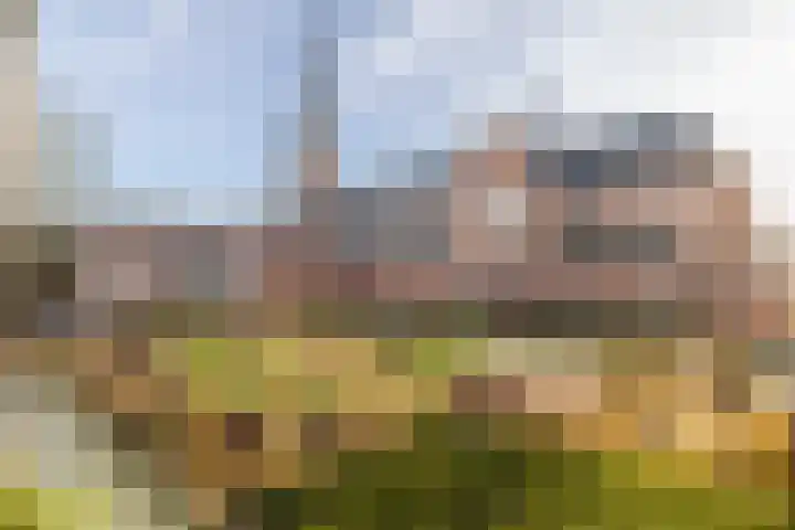 Heilig Harthof 19 Breda thumbnail 34
