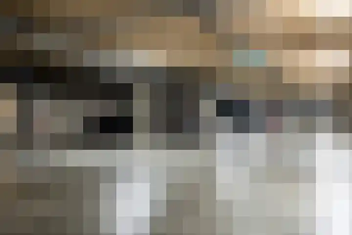Heilig Harthof 19 Breda thumbnail 35