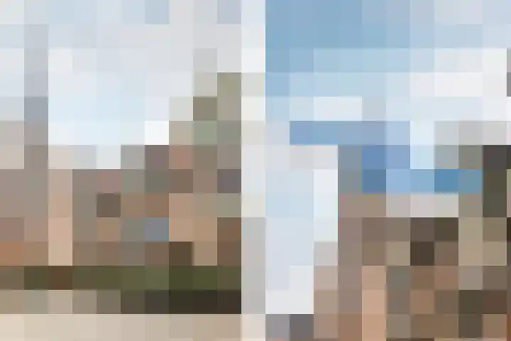 Heilig Harthof 19 Breda thumbnail 36