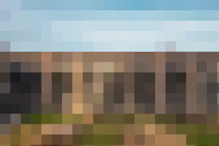 Heilig Harthof 19 Breda thumbnail 37