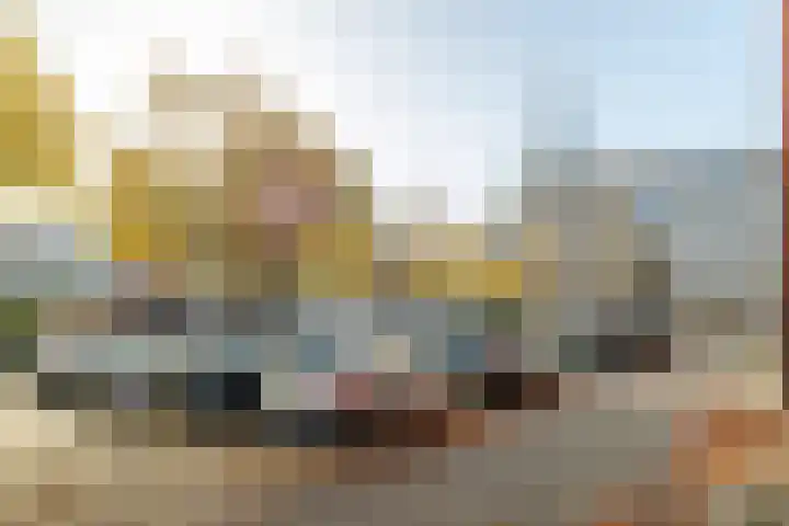 Heilig Harthof 19 Breda thumbnail 39