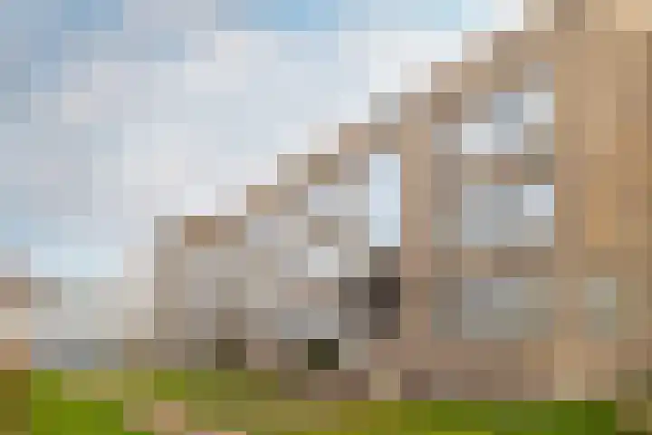 Heilig Harthof 19 Breda thumbnail 4
