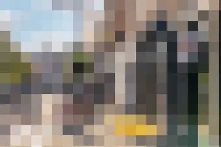 Heilig Harthof 19 Breda thumbnail 41