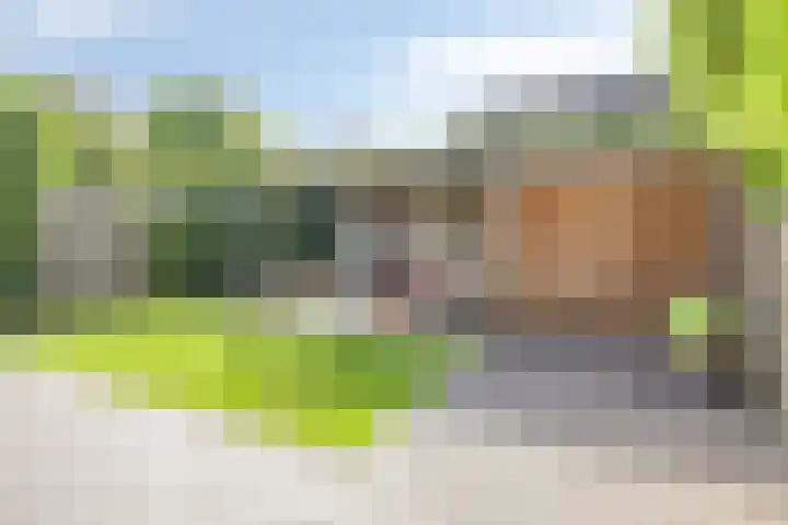 Heilig Kempke 4 Lith thumbnail 19